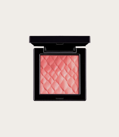 Single Shade Bronze